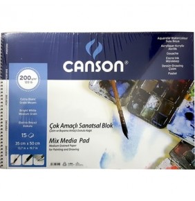 Canson Fineface 200gr 35 X 50 cm 15 yaprak