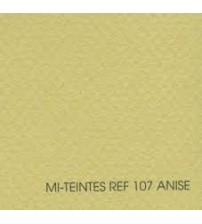 Canson Mi-Teintes 107 Anis