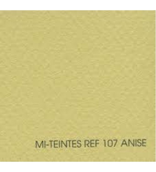 Canson Mi-Teintes 107 Anis