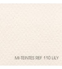 Canson Mi-Teintes 110 Lily