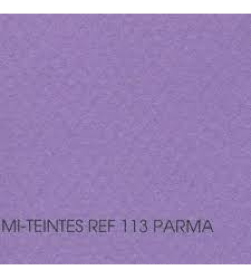 Canson Mi-Teintes 113 Blueberry