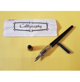 Pilot Calligraphy Pen M